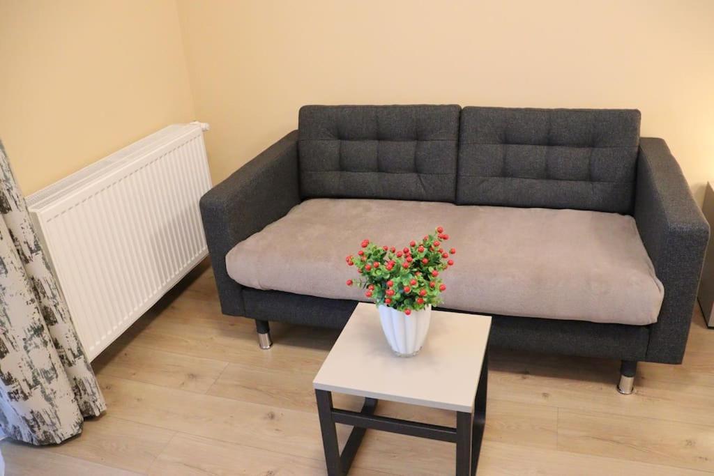 קלוז'-נאפוקה Parklake Home מראה חיצוני תמונה